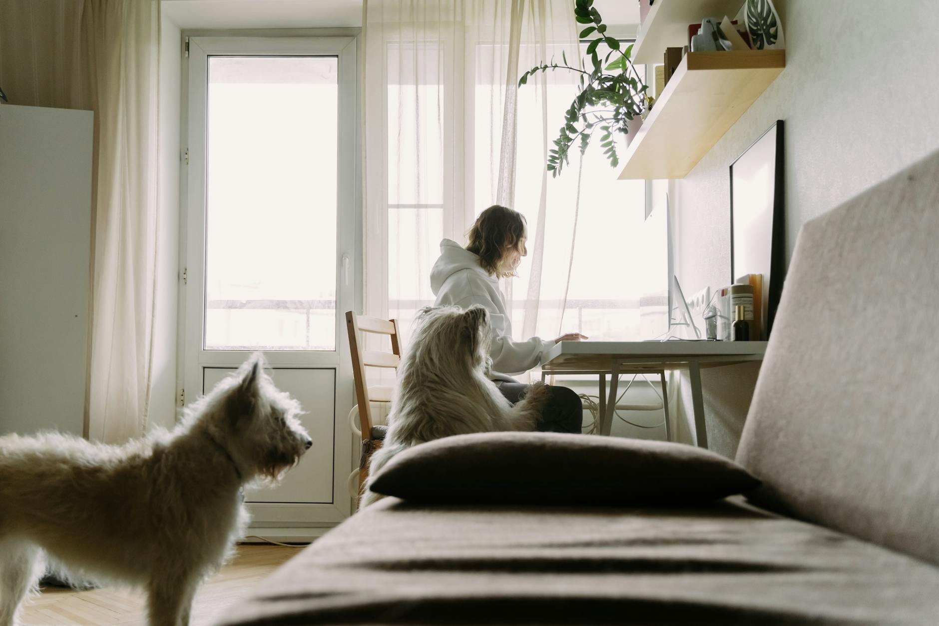 Why Customers Love Behind-the-Scenes Content (and How to Do It Right)